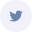 Twitter Icon