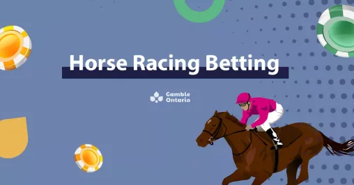 Horse Racing Bets Banner Image