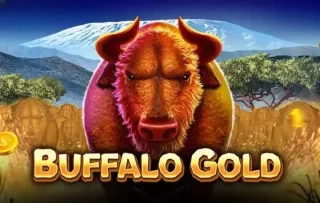 Buffalo Gold