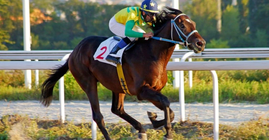 Woodbine Horse Race in Canada