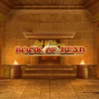 Image for Book of Dead image